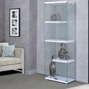 Elements International Ice CIE100DCE Cabinet Display IMAGE 4