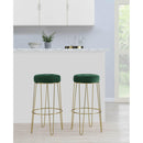 Elements International Cayman Gold Leg Bar Stool (D6238) in Broadway Emerald IMAGE 5