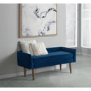  Elements International Tilly UTL1815700BNWWE Upholstered Bench - Cobalt IMAGE 8