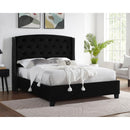  Crown Mark Eva 5111BK-Q Queen Platform Bed - Black IMAGE 5