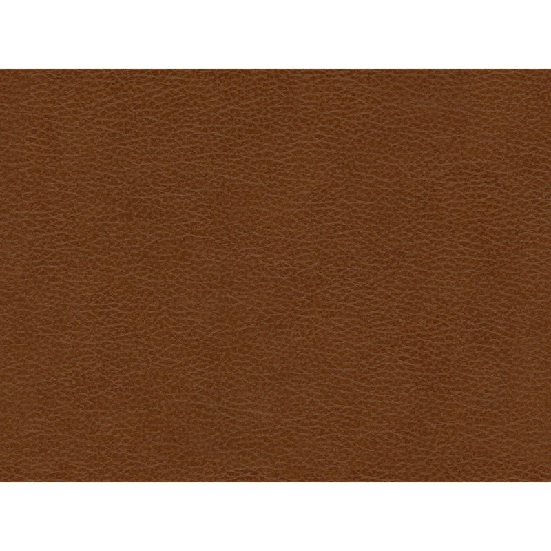  Elements International Hampton Chair in Fiero Fiero Tan IMAGE 8