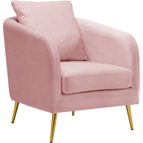  Elements International Joss 2 Accent Chair with Gold Legs in Blush IMAGE 1