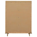  Coaster Furniture Arini 224305 5-Drawer Bedroom Chest - Sand Wash IMAGE 6