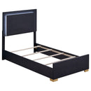  Coaster Furniture Marceline 222831T Wood Twin LED Panel Bed - Black IMAGE 1