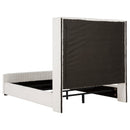 Coaster Furniture Natasha 306051Q 65-inch Upholstered Queen Wingback Bed - Cream IMAGE 3