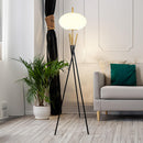  Crown Mark 6293F Floor Lamp IMAGE 2