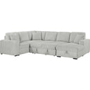  Coaster Furniture Devonshire 501208 Sleeper Sectional Sofa Storage Chaise - Grey IMAGE 3