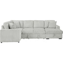  Coaster Furniture Devonshire 501208 Sleeper Sectional Sofa Storage Chaise - Grey IMAGE 6