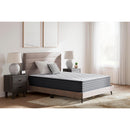  Ashley Sleep Anniversary Edition Plush M42151 California King Mattress IMAGE 2